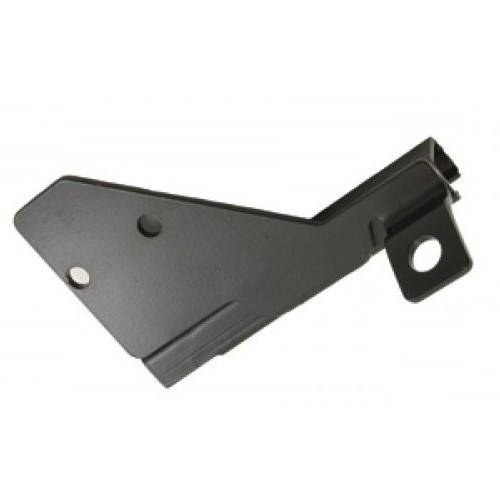 CHANNEL ASSEMBLY R/H (door check strap)